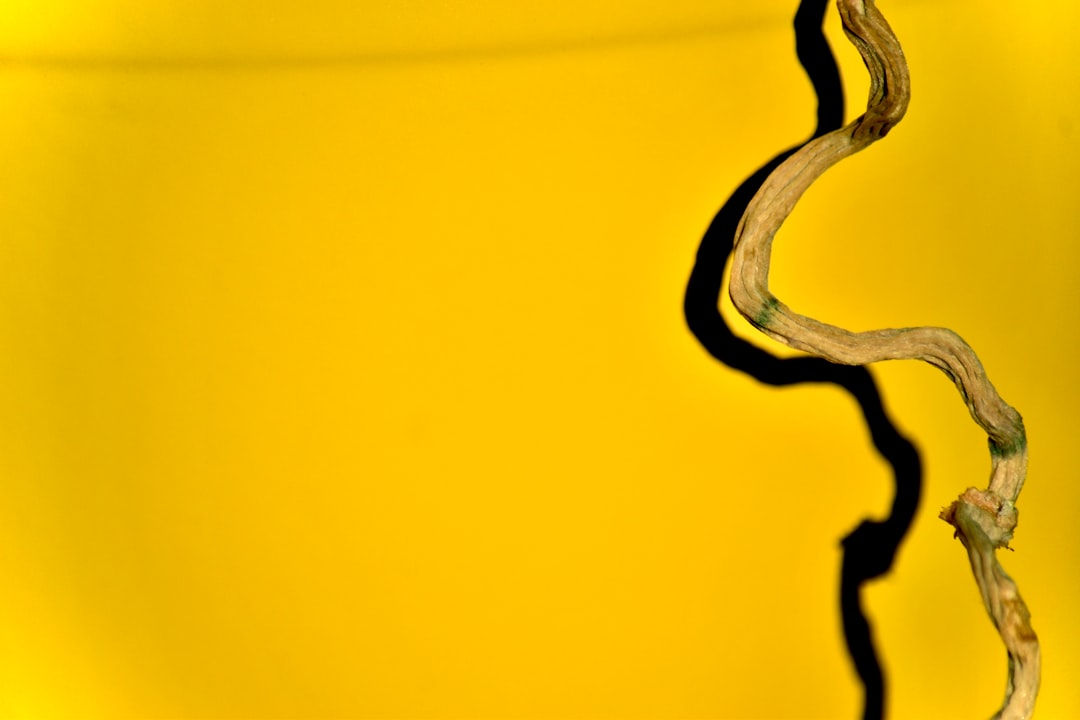 yellow and black abstract painting