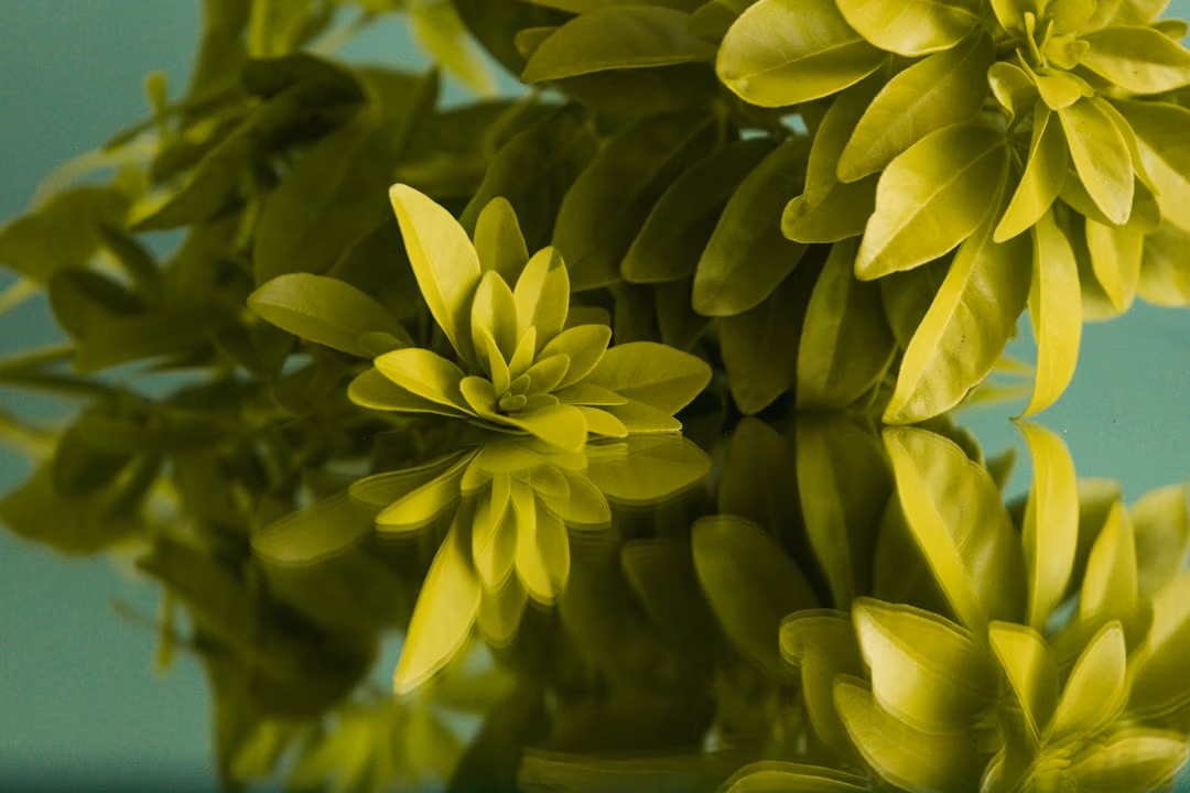 Natural plant extract in laboratory glass - botanical cosmetic ingredient